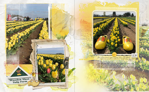 Yellow Tulips