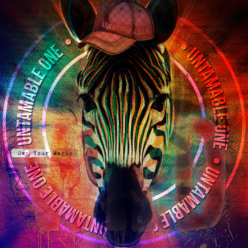 zEBRA-pAD1.jpg