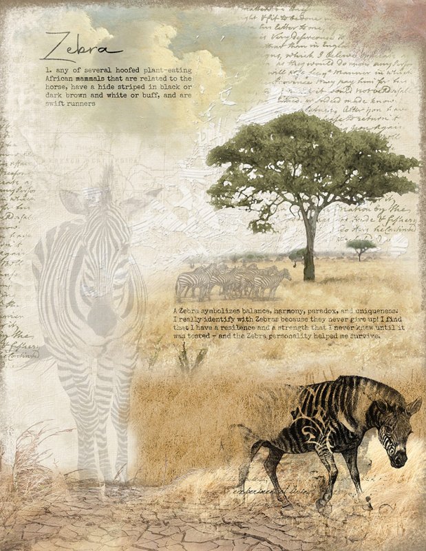 Zebras