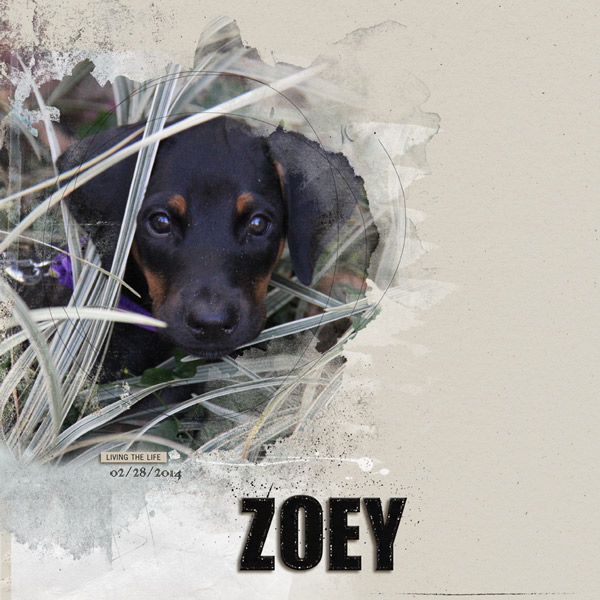 Zoey