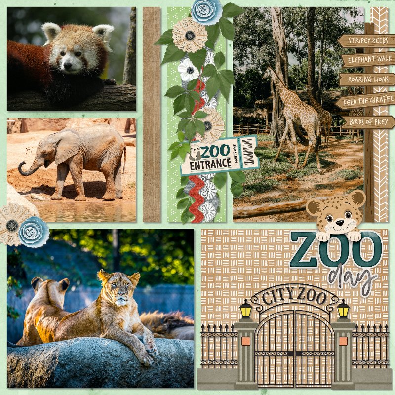 Zoo.jpg