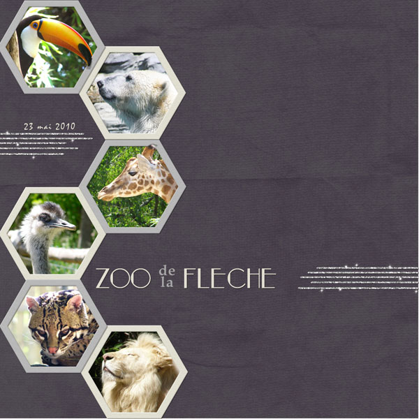 ZOO