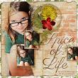 "Spice Of Life" #digitalscrapbooking layout by AFT Designs - Amanda Fraijo-Tobin