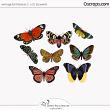 Antique Butterflies 2 (CU) by Wendy Page Designs