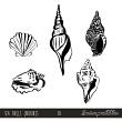 Commercial Use Sea Shell Digital Art Stamps & Brushes