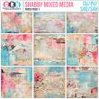 (CU) Shabby Mixed Media Papers Set 1 by CRK | Oscraps