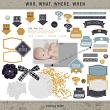 FeiFei Stuff_Who What Where When Element Pack_Prvw_1000