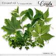 Oscrap-cu-leaf-1-01