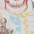 Anatomy Student Stamps Vol 3 Bones (CU) by Mixed Media by Erin detail 04