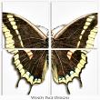 Antique Butterflies 3 (CU) closeup by Wendy Page Designs