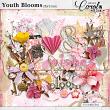 Oscrap-YouthBlooms-extra