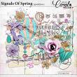 Oscrap-SignalsOfSpring-goodies