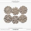 Paper Flowers 45 (CU) by Wendy Page Designs