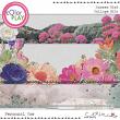 Summer Riot {Collage Bits} by Mixed Media by Erin borders