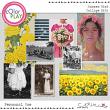 Summer Riot {Collage Bits} by Mixed Media by Erin cards
