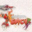 Spicy {Characters} by Mixed Media by Erin example art by Anke55