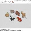 2024 Fall CU Grab Bag By Mixed Media by Erin Woodland Animals