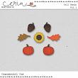 2024 Fall CU Grab Bag By Mixed Media by Erin Fall Resin