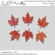 2024 Fall CU Grab Bag By Mixed Media by Erin Fall Metal Leaves