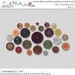 2024 Fall CU Grab Bag By Mixed Media by Erin Fall Button Mix