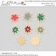 2024 Christmas CU Grab Bag By Mixed Media by Erin Wood Bits Vol. 2 Poinsettias