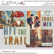 Trail Mix {Cards} by Mixed Media by Erin arty cards