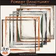 Forest Sanctuary Page Borders