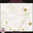 Shooting Star Splatters