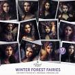 Aesthetic Photos No 3 Winter Forest Fairies by A Whimsical Adventure at Oscraps