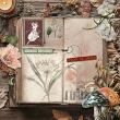 The Photographer's Album No 2 Autumn Reverie by A Whimsical Adventure at Oscraps: Page Design