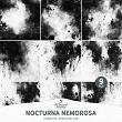 Nocturna Nemorosa by A Whimsical Adventure at Oscraps | Overlays