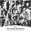 Nocturna Nemorosa by A Whimsical Adventure at Oscraps | Sketchbook