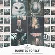 Aesthetic Photos No 11 Haunted Forest by A Whimsical Adventure at Oscraps