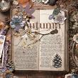 The Photographer's Album No 2 Autumn Reverie by A Whimsical Adventure at Oscraps: Page Design