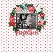 Digital Scrapbooking Layout by Tricia using Tsubaki Camellia by ninigoesdigi at Oscraps