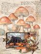 Old World Sketchbook No 4 Mushrooms by A Whimsical Adventure at Oscraps | Page Design by Marilyn