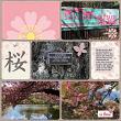 Digital Scrapbooking Layout by Gwany using Sakura Pocketcards by ninigoesdigi at Oscraps