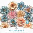 CU Flowers No 16 Splendiferous by A Whimsical Adventure at Oscraps