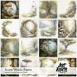 Acorn Woods Digital  Art Papers by Art Addicts