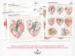 Flourishing Hearts No 1 Victorian Pastels by A Whimsical Adventures at Oscraps | A Closer Look