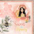 Bee Kind {Collection Bundle} by Mixed Media by Erin example art by  Brighteyes