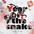 layout for YearOfSnake