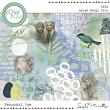 Caim {Mixed Media Bits} by Mixed Media by Erin Painty Bits