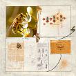 Bee My Honey by A Whimsical Adventure at Oscraps | Creative Team Page