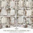 The Naturalist's Journal No 1 by A Whimsical Adventure at Oscraps