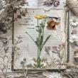 The Naturalist's Journal No 1 by A Whimsical Adventure at Oscraps | Creative Team Page