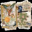 The Butterfly Journal Junk Journal Kit by A Whimsical Adventure at Oscraps | Creative Team Page