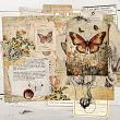 The Butterfly Effect by A Whimsical Adventure at Oscraps | Creative Team Page