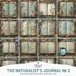 The Naturalist's Journal No 2 Scattered Blooms by A Whimsical Adventure at Oscraps