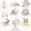 Wheel Of The Year Ostara by A Whimsical Adventure at Oscraps | Adornments